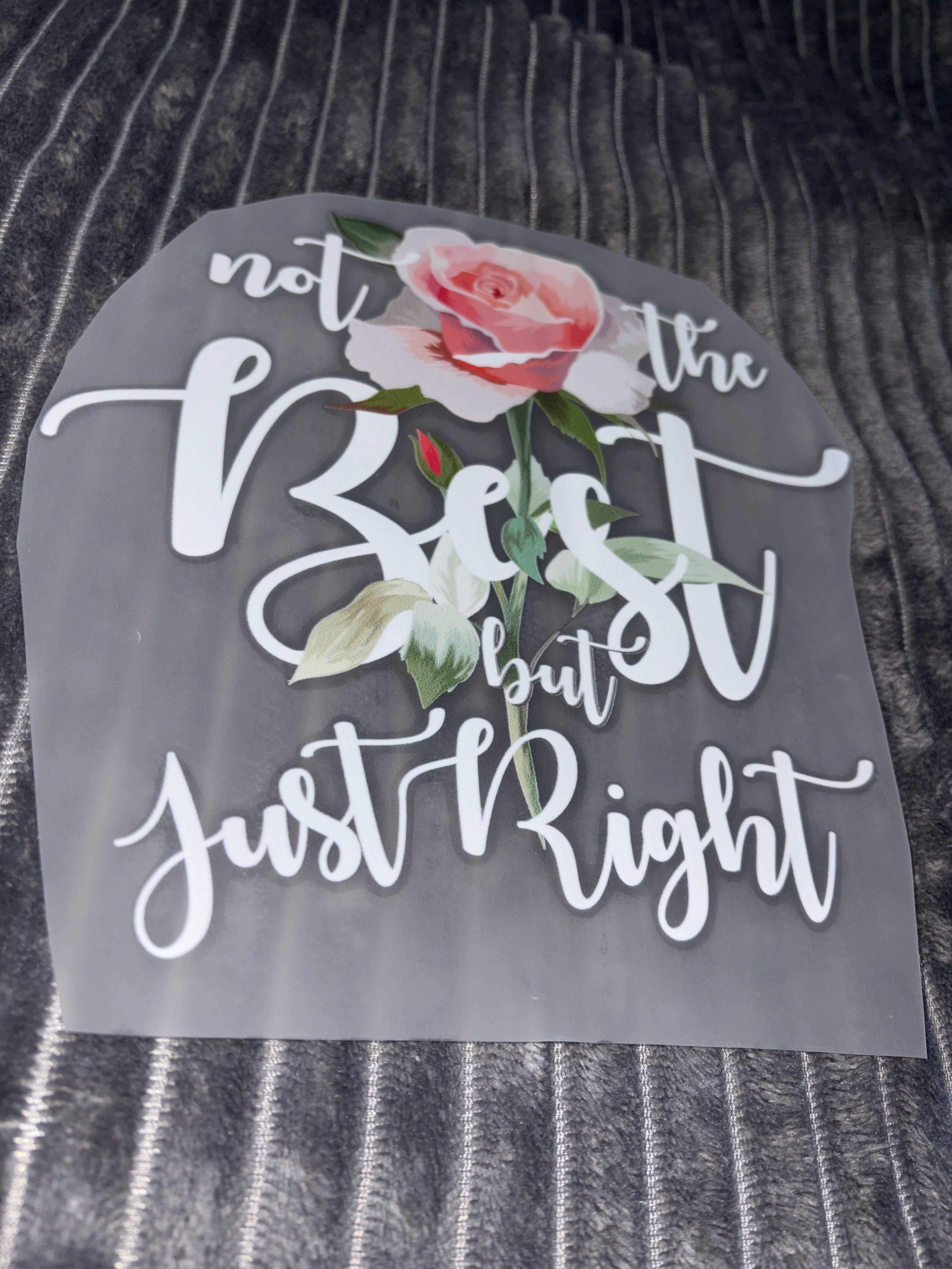 Not the best but just Right Bügelbild