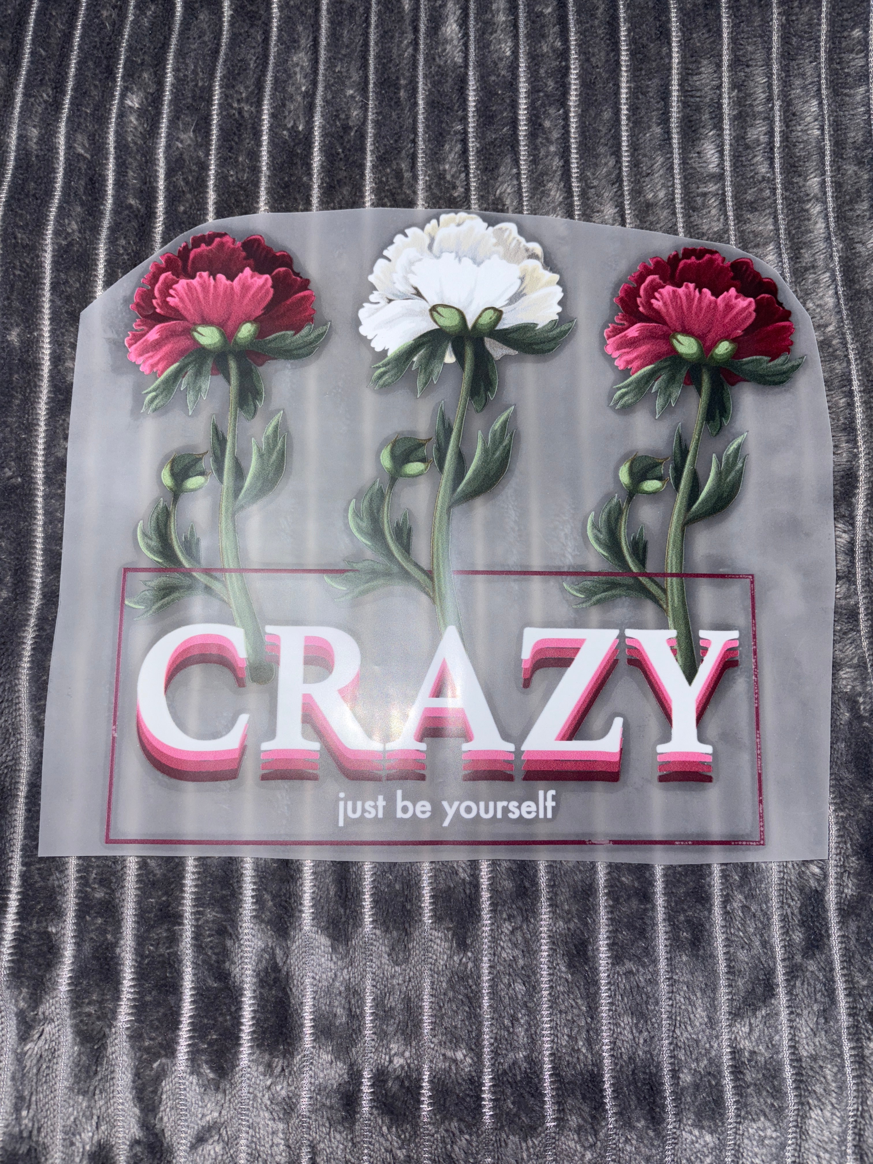 Crazy Bügelbild